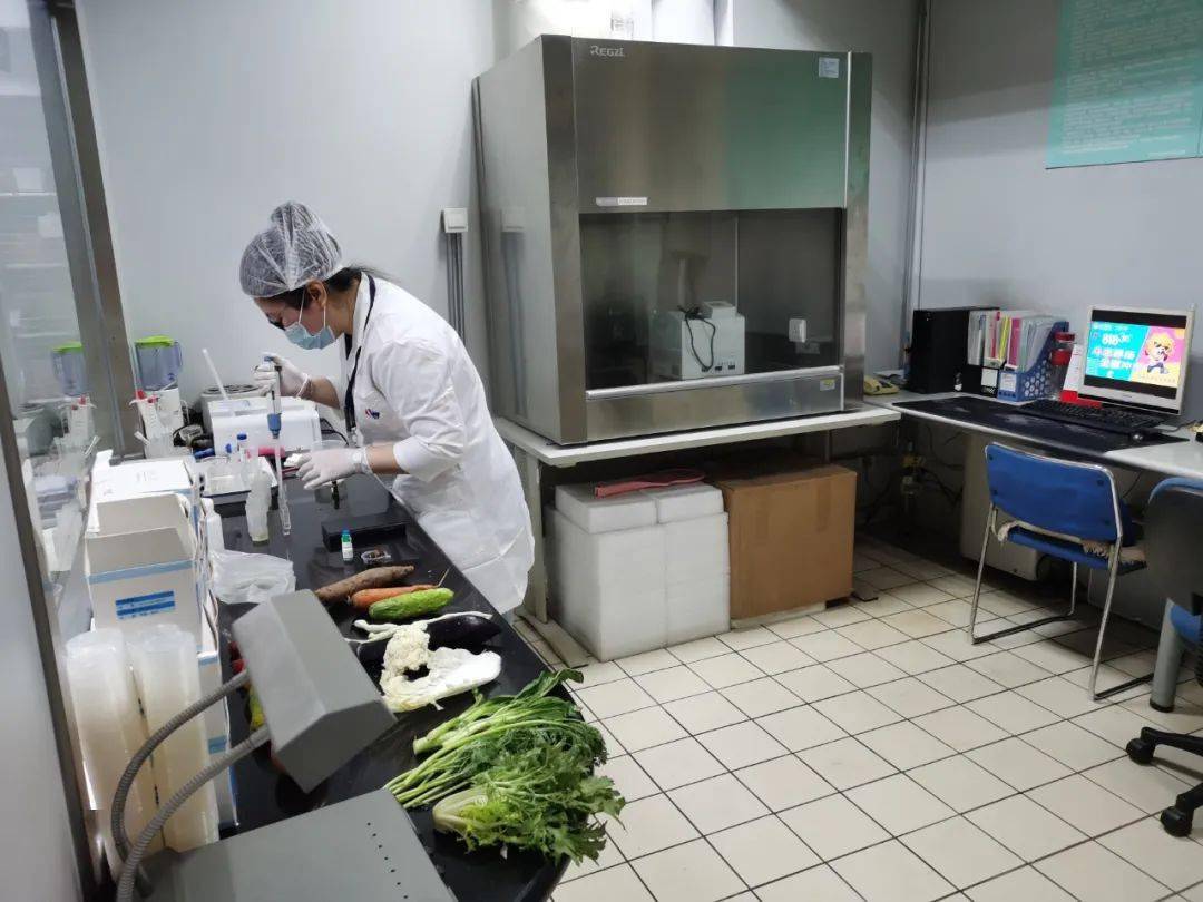 元阳食品检测实验室装修方案